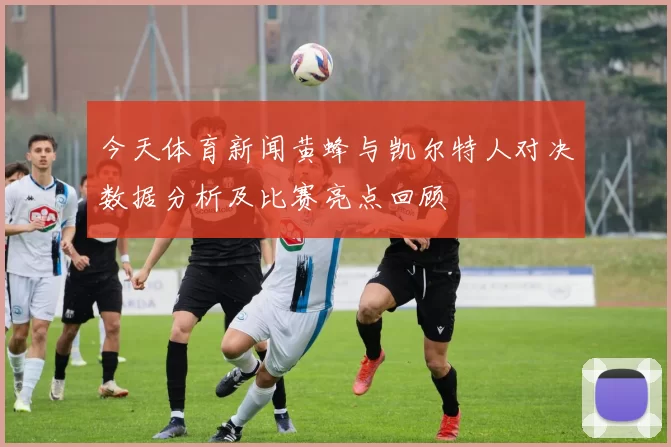今天体育新闻黄蜂与凯尔特人对决数据分析及比赛亮点回顾
