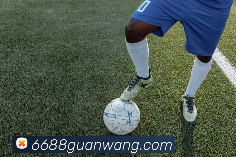 6688官网平台生态图